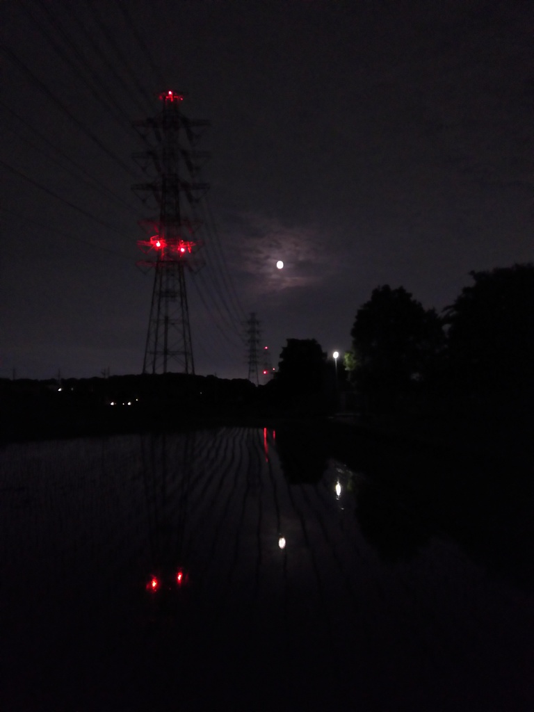 2017/06/11_水田の月夜