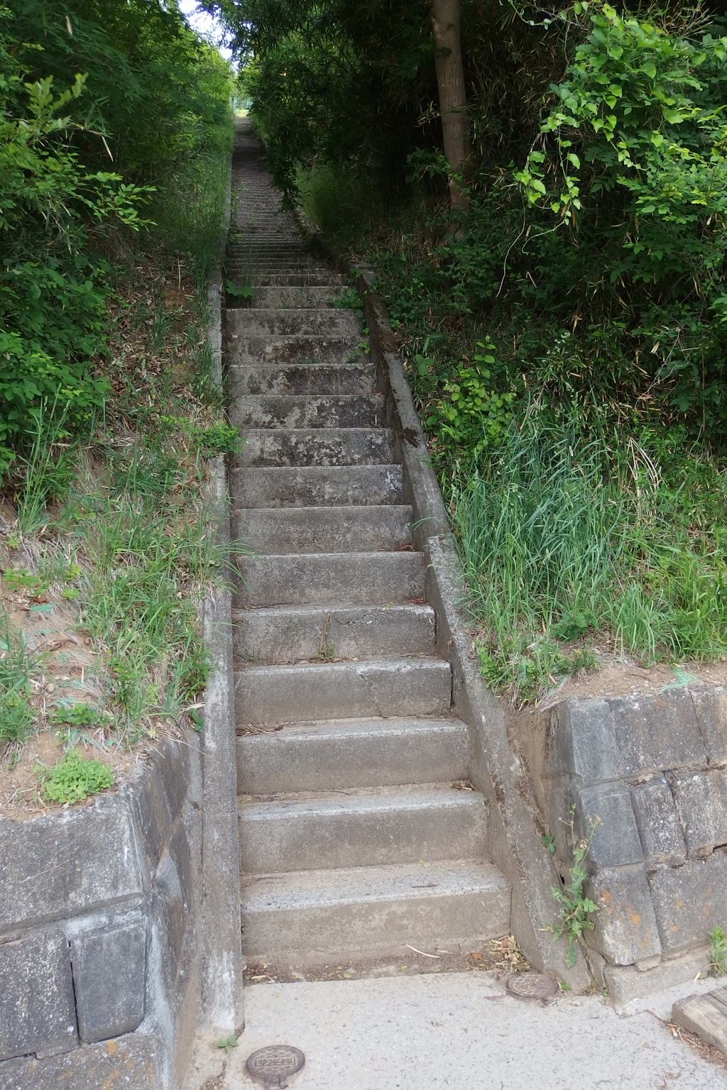 2015/05/23_長い階段