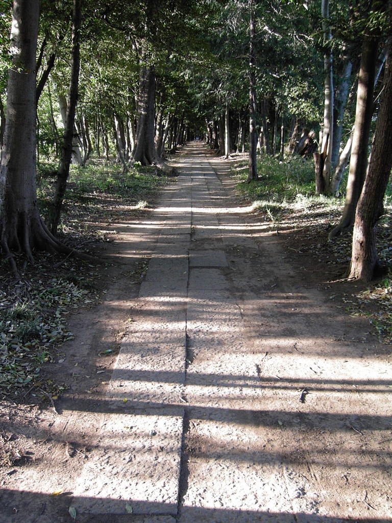 2017/05/04_神明神社参道
