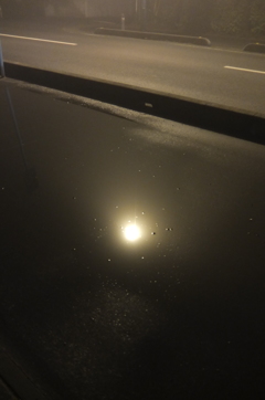 2015/02/08_霧の夜