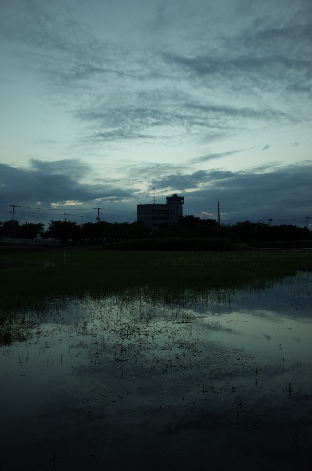 2015/06/21_夕暮れのラブミー農場跡地