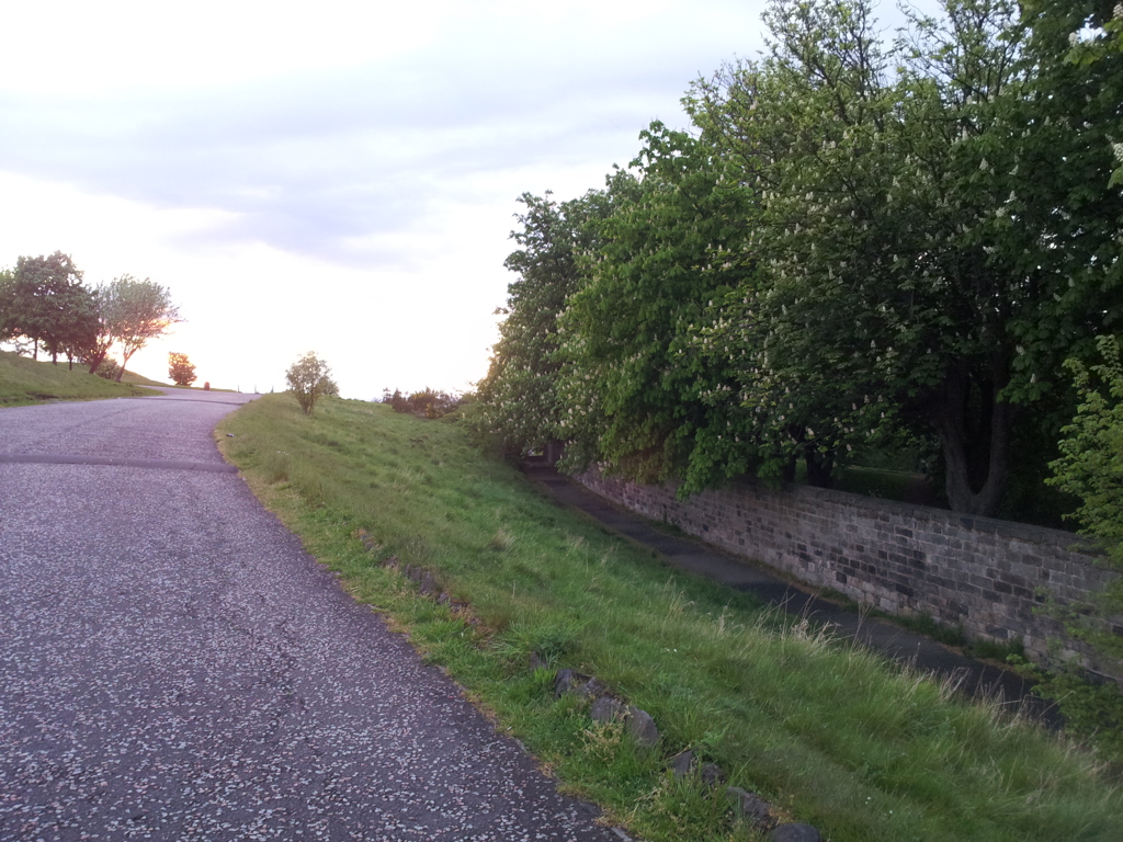 2016/05/21_カールトン・ヒルの夕暮れ