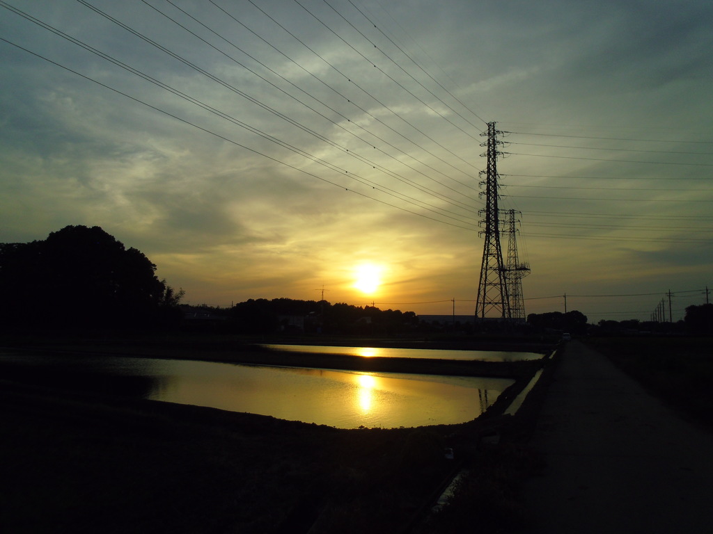 2017/05/21_水田の夕暮れ