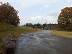 2016/11/13_三内丸山遺跡への道