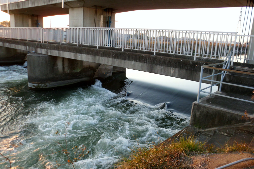 2014/11/22_見沼代用水