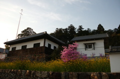 2014/04/12_夕暮れの高麗郷古民家と花