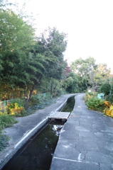 2014/11/15_鴨川みずべの里