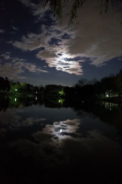 2014/12/06_月夜の北本総合公園