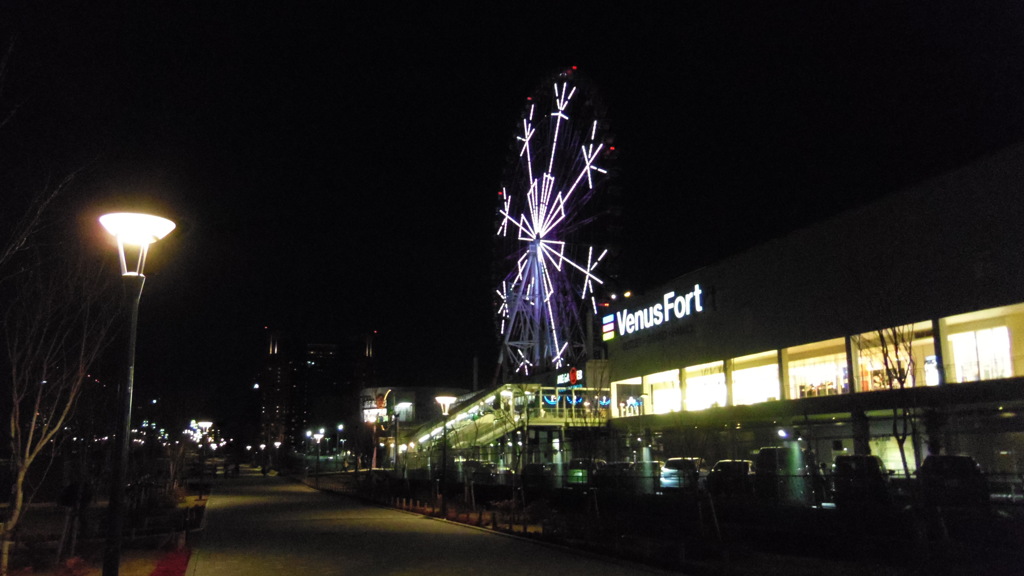 2014/01/01_夜のパレットタウン大観覧車