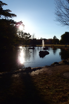 2015/11/03_岩槻城址公園