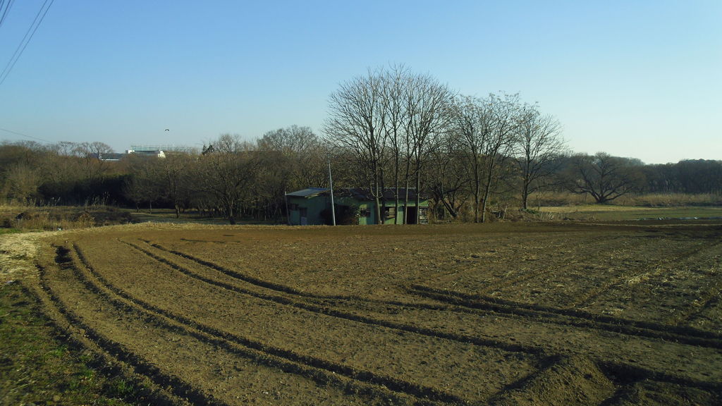 2013/01/12_畑の中の廃屋