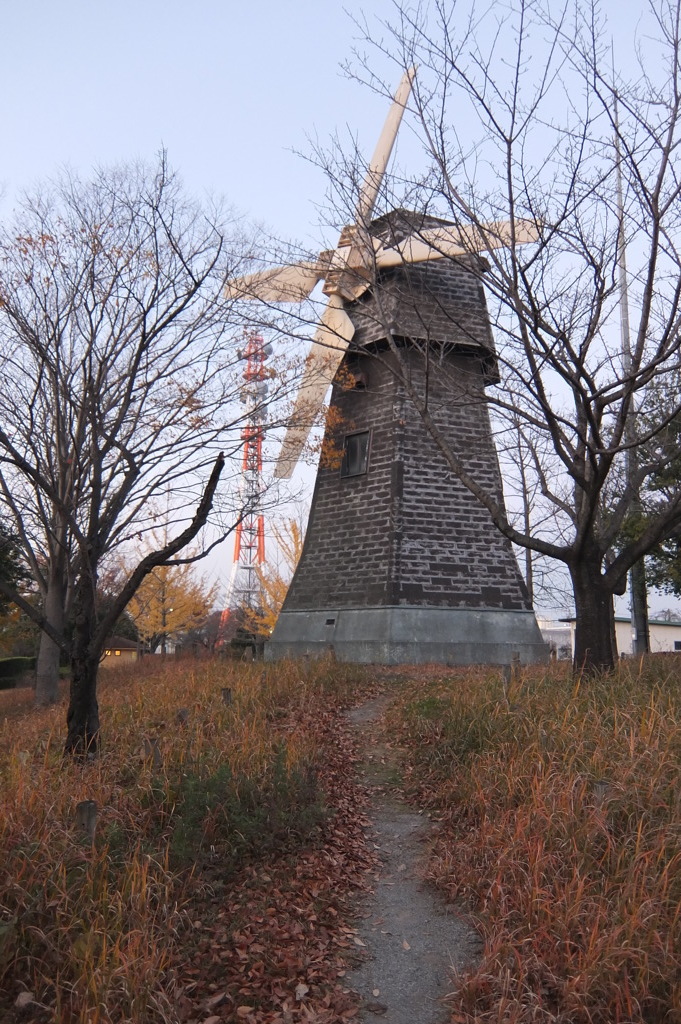 2014/11/22_見沼元圦公園