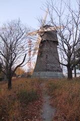 2014/11/22_見沼元圦公園
