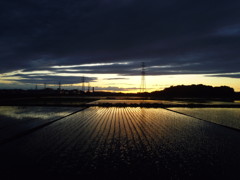 2017/06/04_水田の夕暮れ