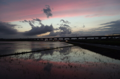 2015/06/28_水田の夕暮れ