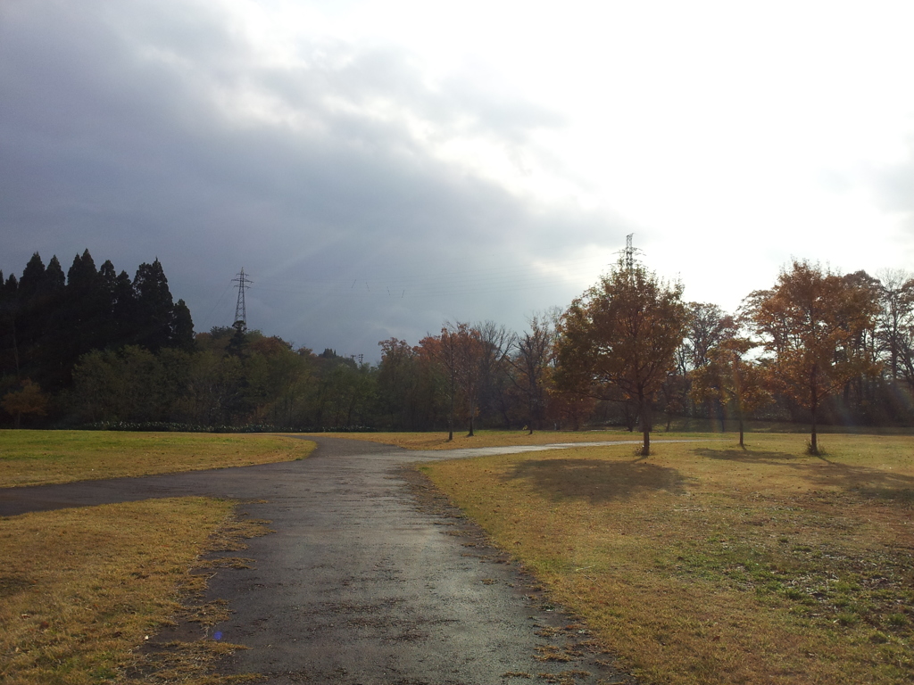 2016/11/13_三内丸山遺跡 ピクニック広場への道