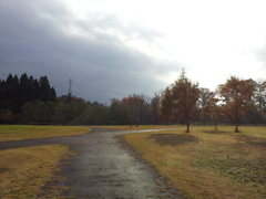 2016/11/13_三内丸山遺跡 ピクニック広場への道