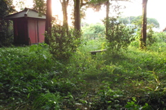 2015/05/10_夕暮れの辯才天堂