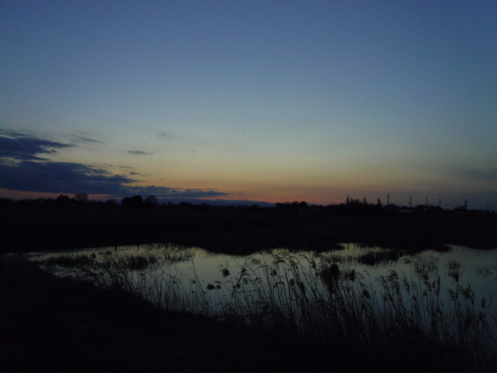 2017/02/19_溜め池の夕暮れ