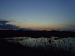 2017/02/19_溜め池の夕暮れ