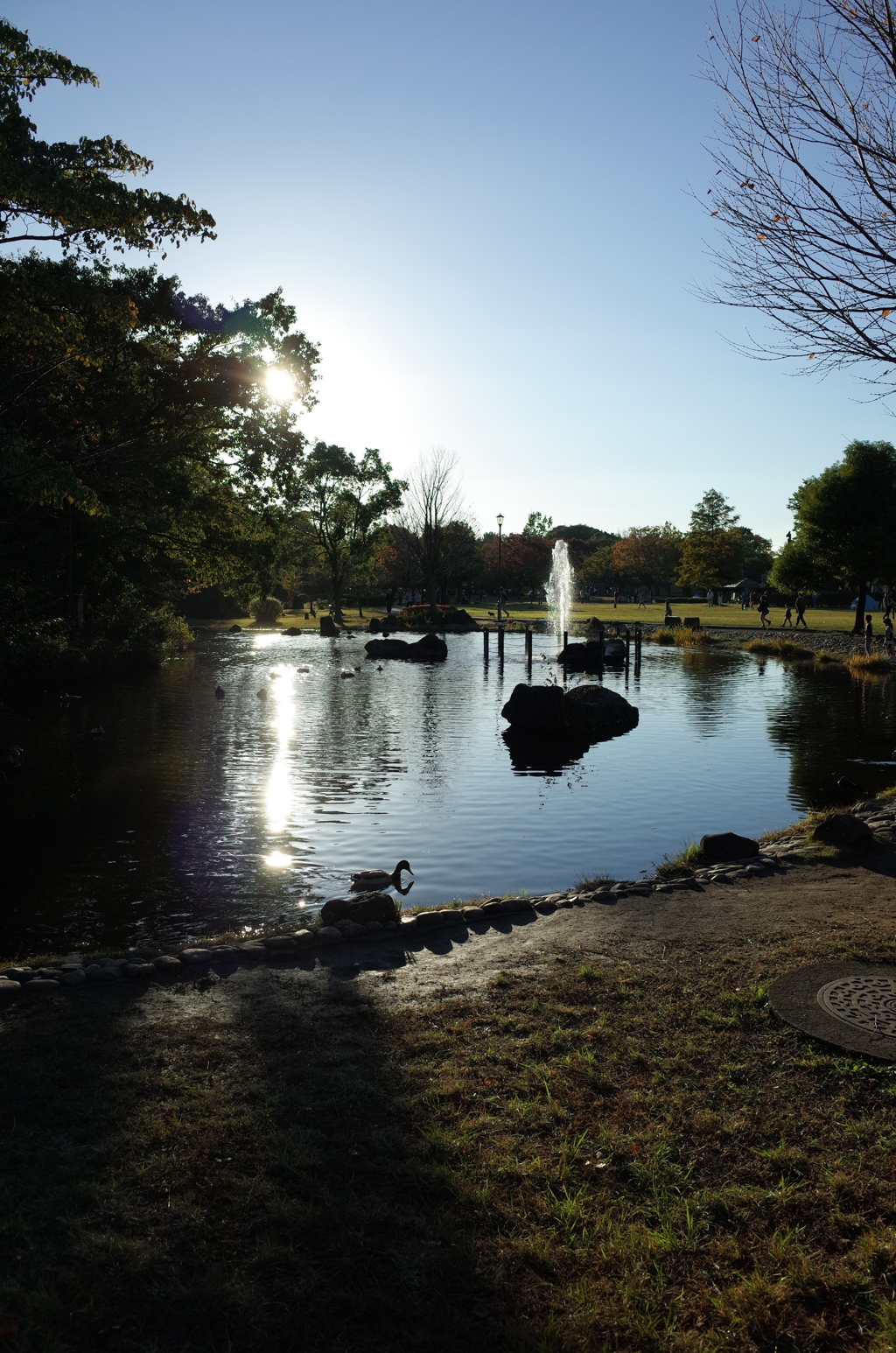 2015/11/03_岩槻城址公園