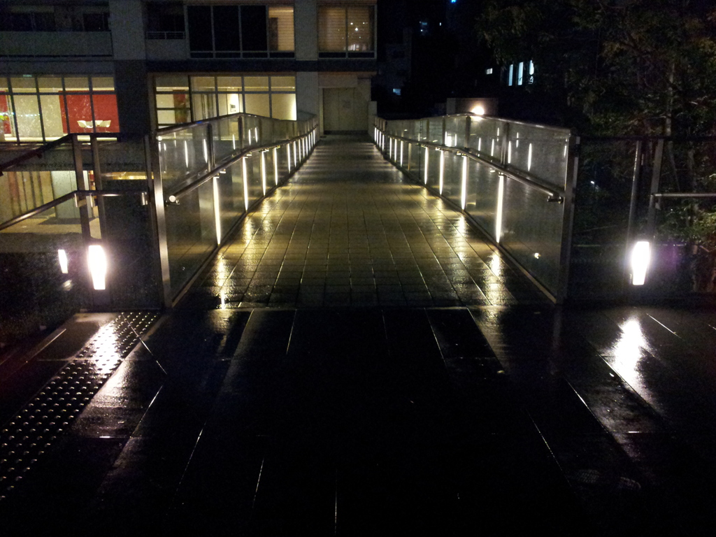 2014/11/26_夜、雨上がりの秋葉原