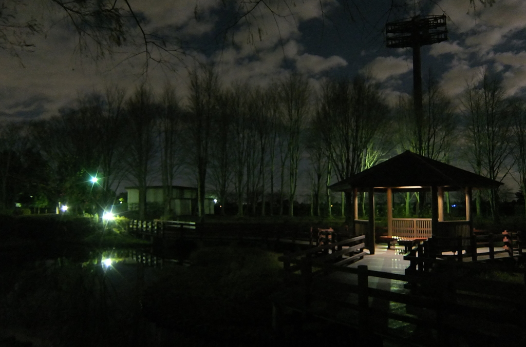 2014/12/06_夜の北本総合公園