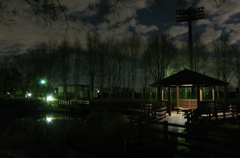 2014/12/06_夜の北本総合公園