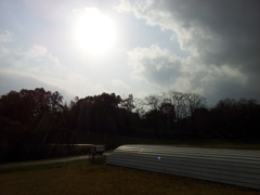 2016/11/13_三内丸山遺跡の空