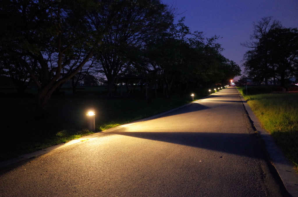 2015/04/18_夕暮れのさきたま古墳公園
