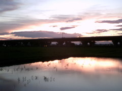 2015/07/19_水田の夕暮れ