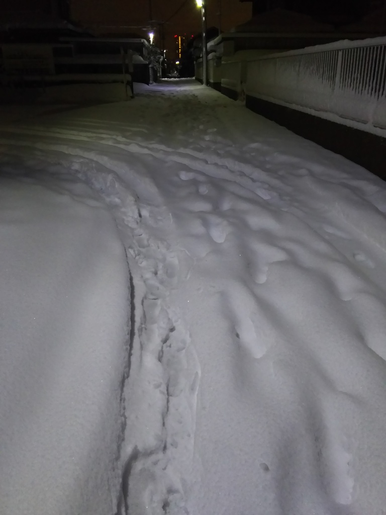 2018/01/22_雪の夜道