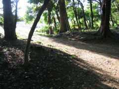 2017/05/04_神明神社参道に日差し