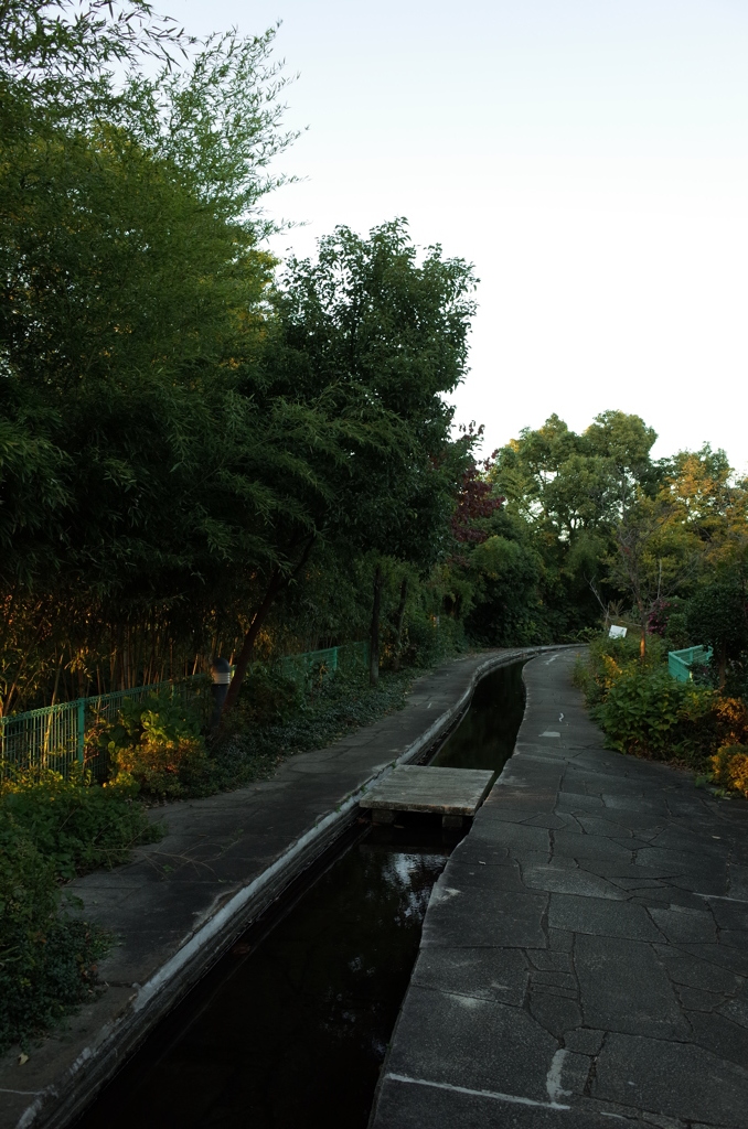 2014/11/15_鴨川みずべの里