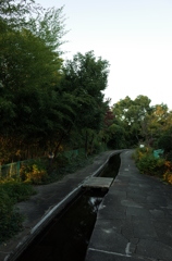 2014/11/15_鴨川みずべの里