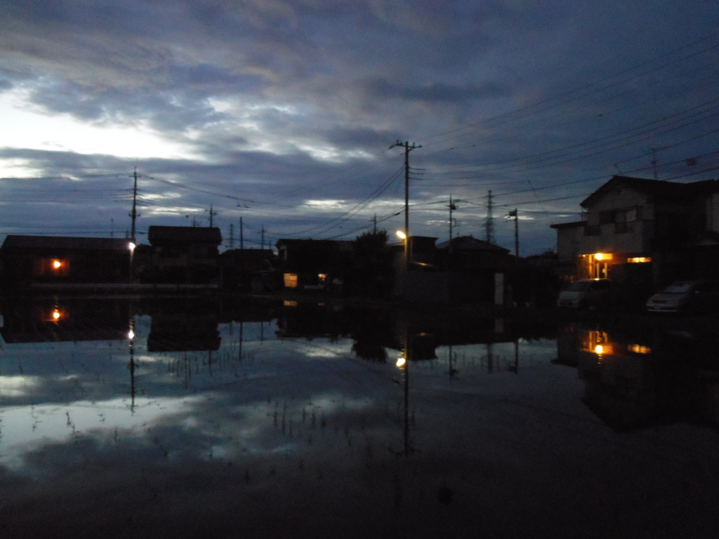 2017/07/01_水田の夕暮れ