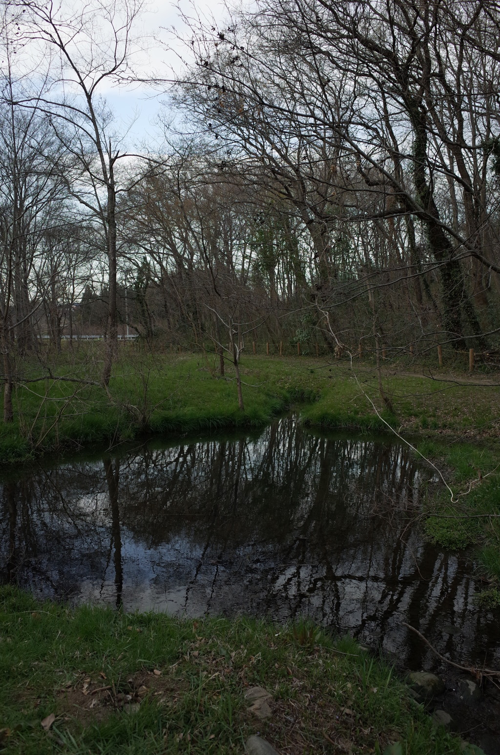 2016/03/26_北本自然観察公園