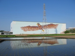 2017/05/05_水田に埼玉トヨペット