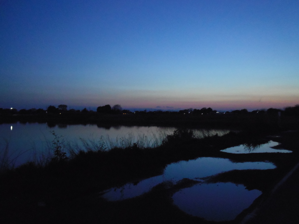 2017/04/15_水溜まりと溜め池の夕暮れ