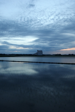 2015/06/21_水田の夕暮れ