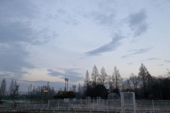 2016/02/13_伊奈町制施行記念公園の夕暮れ