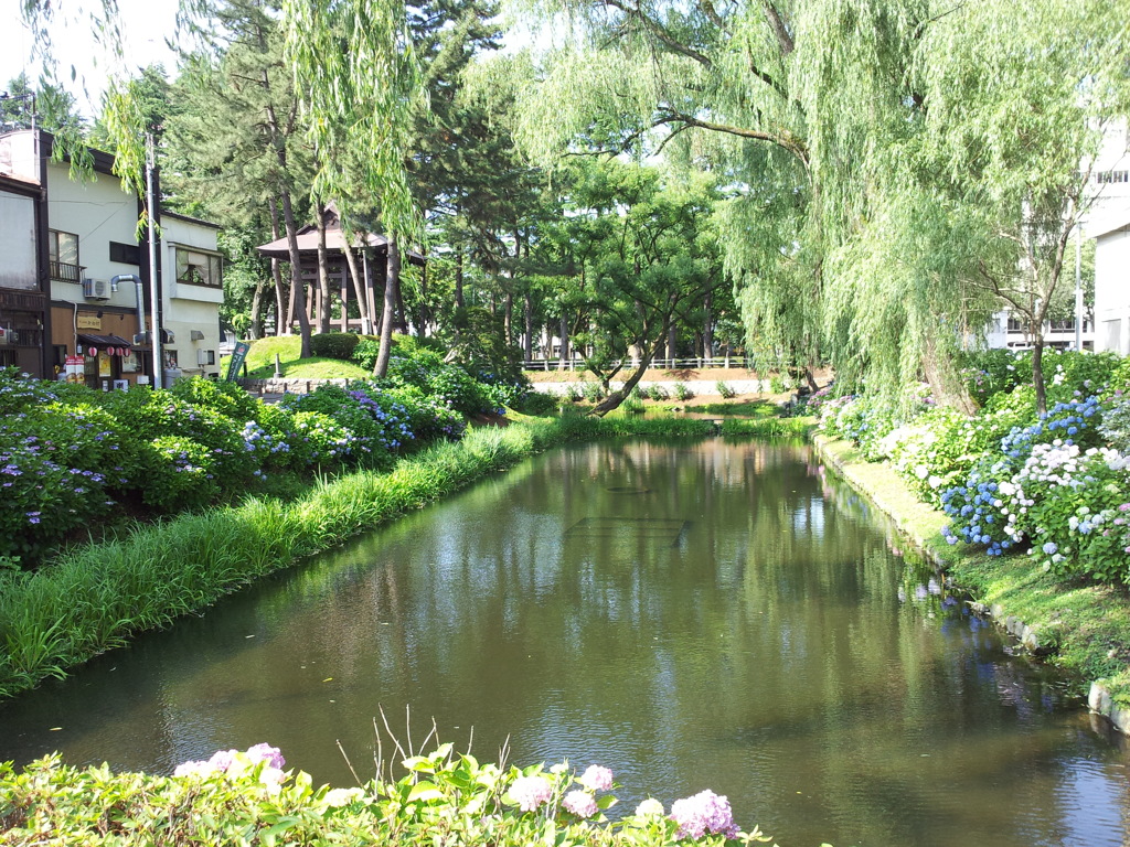 2018/07/14_盛岡城跡公園（岩手公園）鶴ケ池