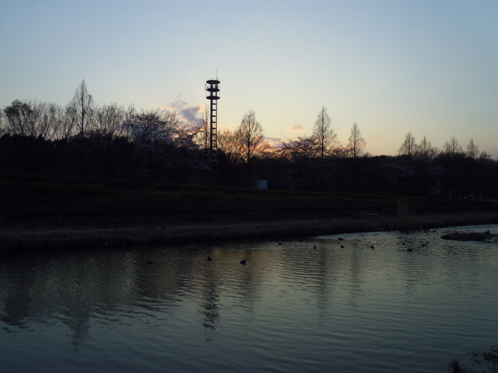2017/04/02_花の丘農林公苑の夕暮れ