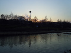 2017/04/02_花の丘農林公苑の夕暮れ