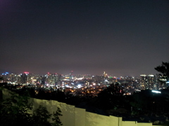 2017/06/17_南山公園からソウル市街の夜景を望む