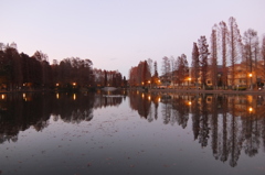2014/12/14_夕暮れの別所沼公園