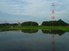 2017/07/09_水田に空