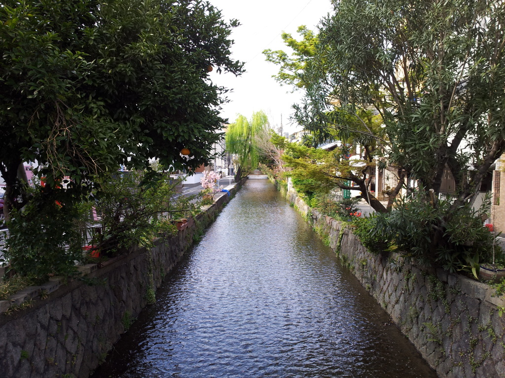 2019/04/12_七条橋から高瀬川上流を望む