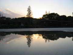 2017/04/23_花の丘農林公苑の夕暮れ