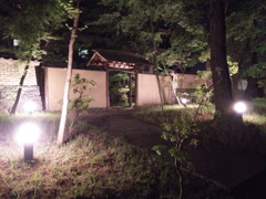 2016/05/08_夜のこころの杜